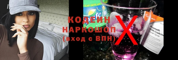 2c-b Бородино