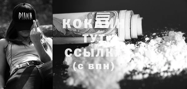 2c-b Бородино