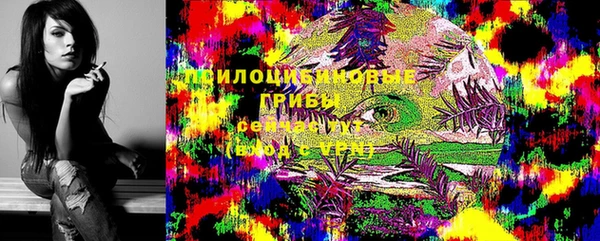 2c-b Бородино