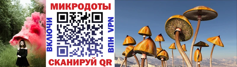 Псилоцибиновые грибы мицелий  Гудермес 